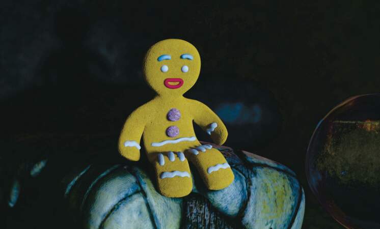 Tibiscuit